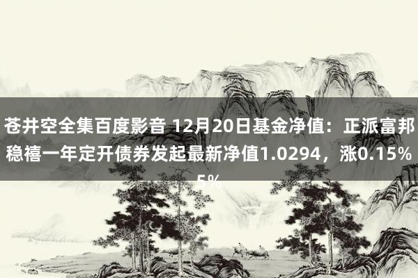 苍井空全集百度影音 12月20日基金净值：正派富邦稳禧一年定开债券发起最新净值1.0294，涨0.15%