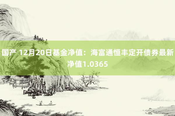 国产 12月20日基金净值：海富通恒丰定开债券最新净值1.0365