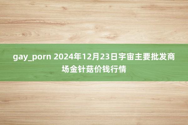 gay_porn 2024年12月23日宇宙主要批发商场金针菇价钱行情