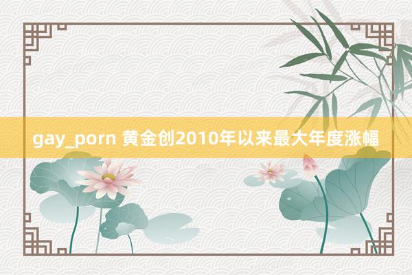 gay_porn 黄金创2010年以来最大年度涨幅