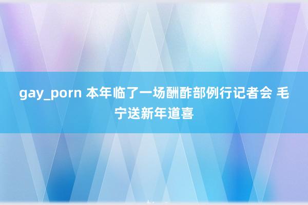 gay_porn 本年临了一场酬酢部例行记者会 毛宁送新年道喜