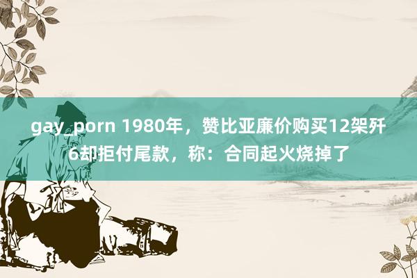 gay_porn 1980年，赞比亚廉价购买12架歼6却拒付尾款，称：合同起火烧掉了