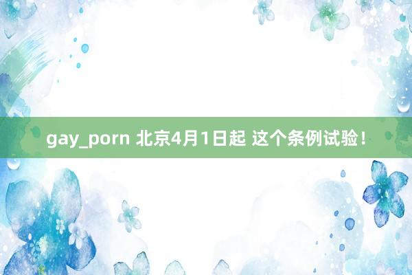 gay_porn 北京4月1日起 这个条例试验！