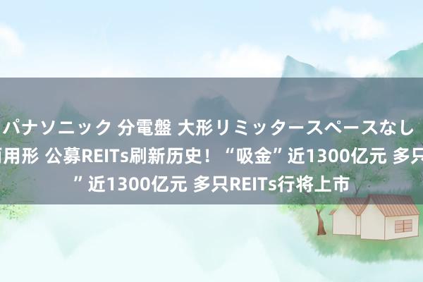 パナソニック 分電盤 大形リミッタースペースなし 露出・半埋込両用形 公募REITs刷新历史！“吸金”近1300亿元 多只REITs行将上市