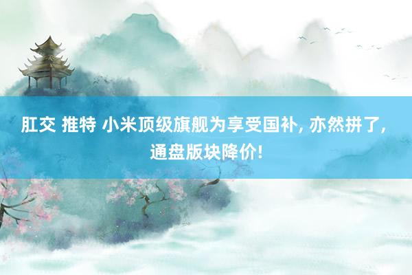 肛交 推特 小米顶级旗舰为享受国补， 亦然拼了， 通盘版块降价!
