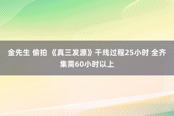 金先生 偷拍 《真三发源》干线过程25小时 全齐集需60小时以上