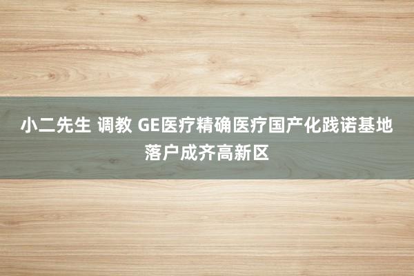 小二先生 调教 GE医疗精确医疗国产化践诺基地落户成齐高新区